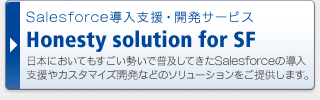 Salesforce導入支援・開発サービス Honesty solution for SF